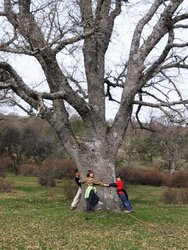 IMG_6472.jpg