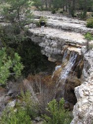 IMG_6476.jpg