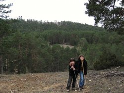 IMG_6507.jpg