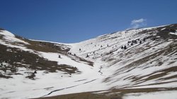 IMG_0860.jpg