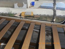 IMGP0686.jpg