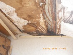 IMGP0690.jpg