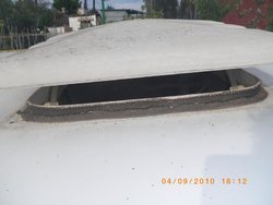 IMGP0731.jpg