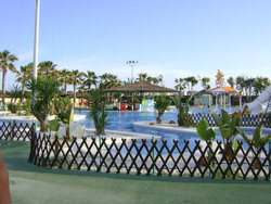 DSC03313.jpg