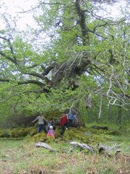 camping ibores (3).jpg