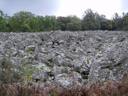 camping ibores (8).jpg