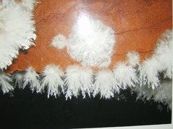 canping ibores (7).jpg
