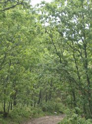 canping ibores (30).jpg