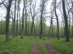 canping ibores (40).jpg
