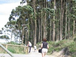 IMG_0760.jpg