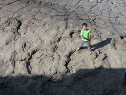 IMG_0764.jpg