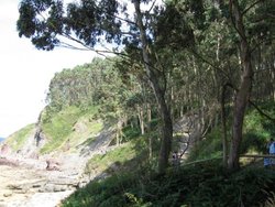 IMG_0763.jpg