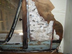DSCF2823.jpg