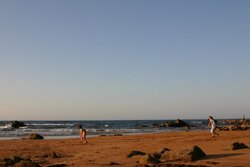 IMG_5563.jpg IMG_5563.jpg