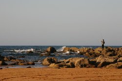 IMG_5562.jpg IMG_5562.jpg