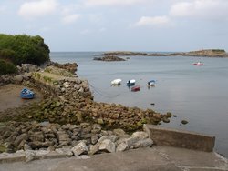 DSC02985.JPG