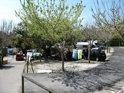 IMG_5104.JPG