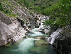 DSCN1075.jpg