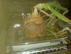 05092011405.jpg