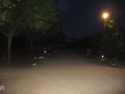 IMG_7096.jpg
