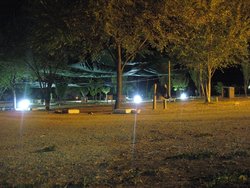 IMG_7136.JPG