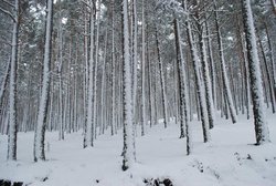 Teruel 2010 499.jpg