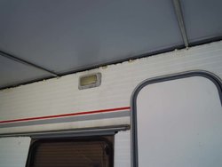 DSCN0733.jpg