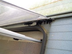 DSCN0741.jpg