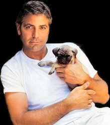 George-Clooney-actor-de-cine[1].jpg