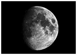 luna.jpg
