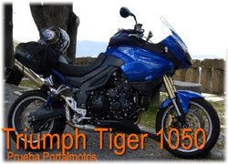 triumhp tiger 1050.jpg