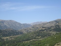 IMG_2234.jpg