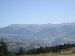 IMG_2243.jpg