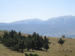 IMG_2260.jpg