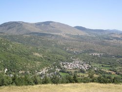 IMG_2287.jpg