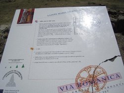 IMG_2298.jpg