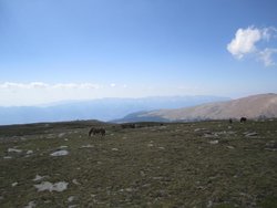 IMG_2053.jpg