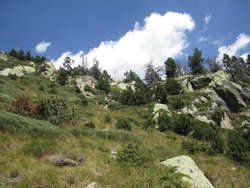 IMG_2073.jpg