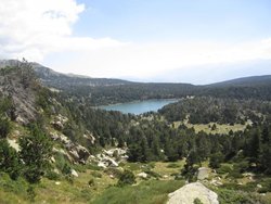 IMG_2074.jpg