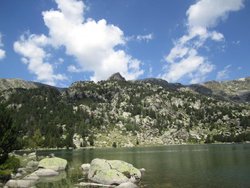 IMG_2075.jpg