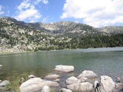 IMG_2076.jpg