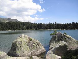 IMG_2077.jpg
