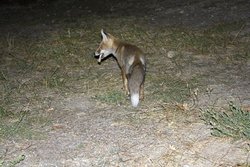 IMG_6055 copia.jpg