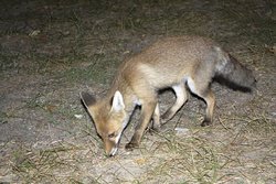 IMG_6058 copia.jpg