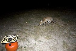 IMG_6059 copia.jpg