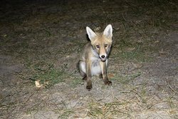 IMG_6063 copia.jpg