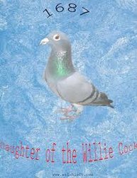 images.jpg