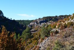 DSC_0021.JPG