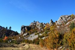DSC_0027.JPG