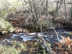 Rio Jarama1.jpg